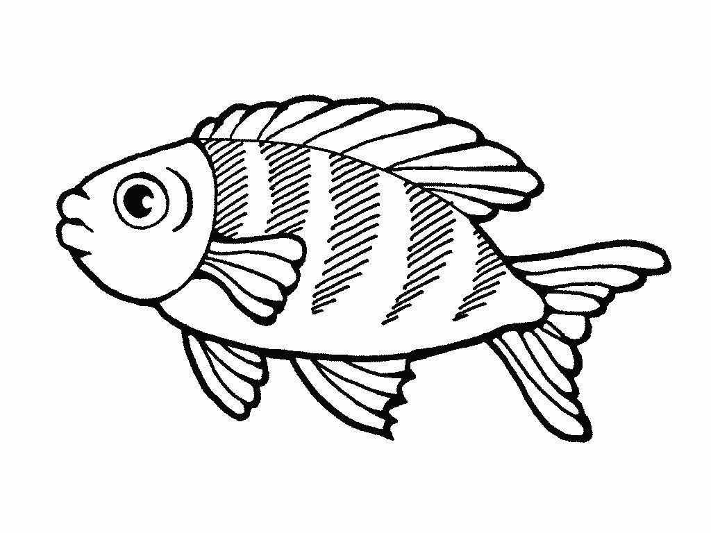 Coloring page: Fish (Animals) #17135 - Free Printable Coloring Pages