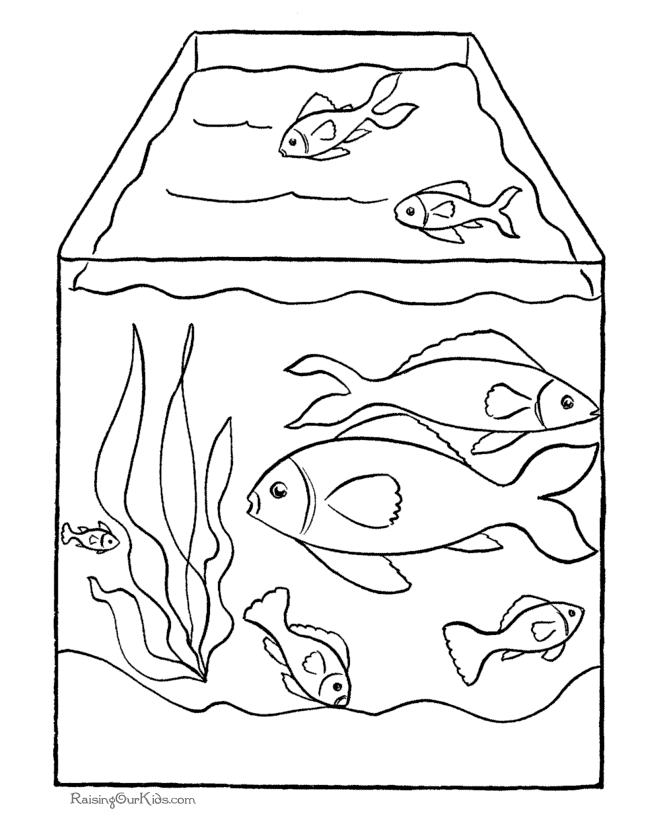 Coloring page: Fish (Animals) #17139 - Free Printable Coloring Pages