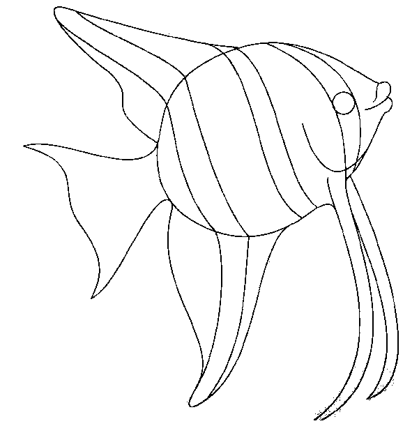 Coloring page: Fish (Animals) #17143 - Free Printable Coloring Pages