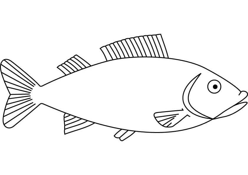 Coloring page: Fish (Animals) #17171 - Free Printable Coloring Pages