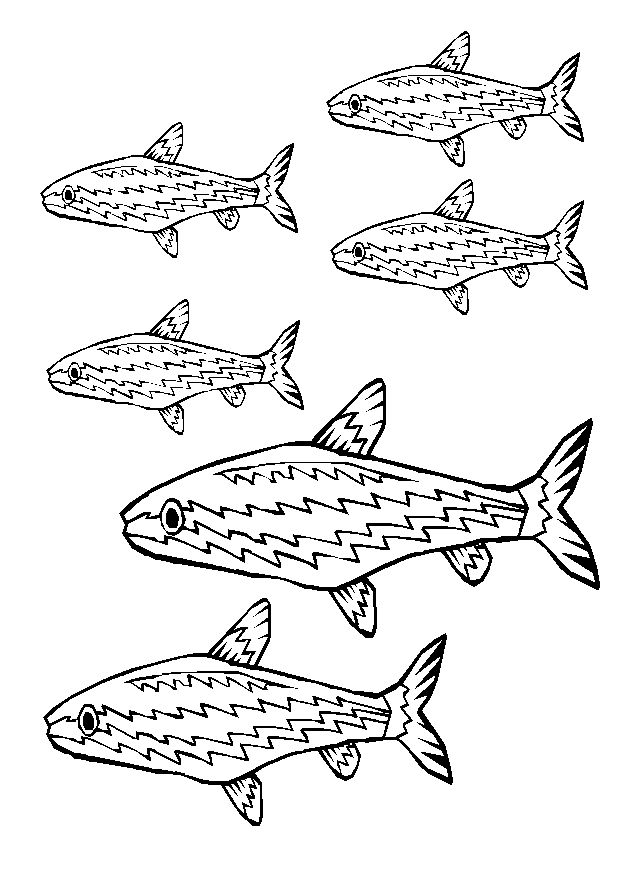 Coloring page: Fish (Animals) #17179 - Free Printable Coloring Pages