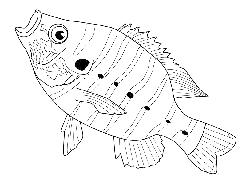 Coloring page: Fish (Animals) #17201 - Free Printable Coloring Pages