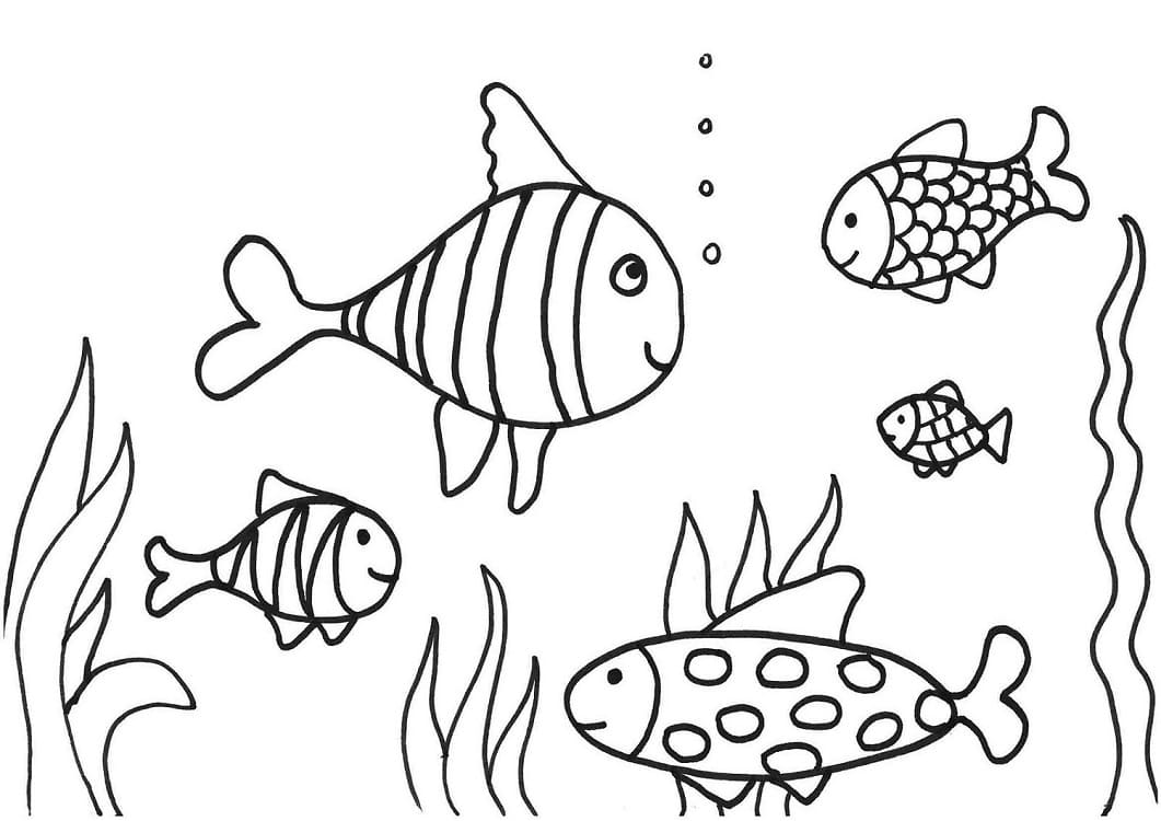 Free printable Fish coloring page #175168 from Animals collection Free printable Fish coloring page #175168 from Animals collection
