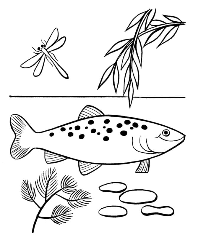 Free printable Fish coloring page #175177 from Animals collection Free printable Fish coloring page #175177 from Animals collection