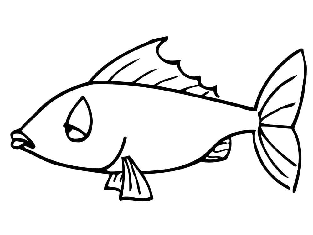 Free printable Fish coloring page #175185 from Animals collection
