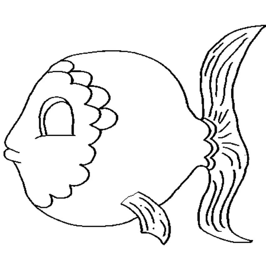 Free printable Fish coloring page #175187 from Animals collection
