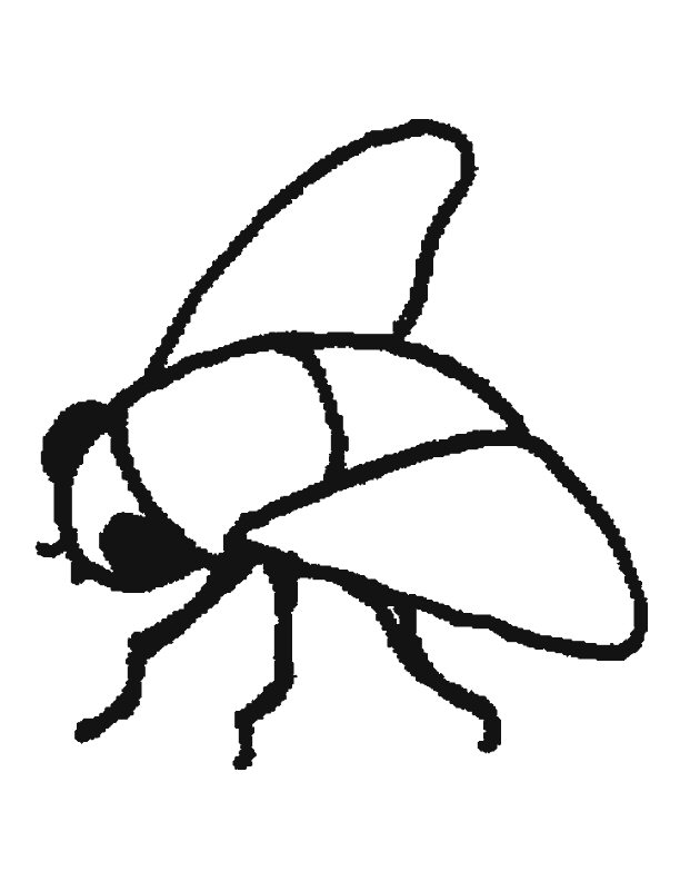 drawings-fly-animals-printable-coloring-pages