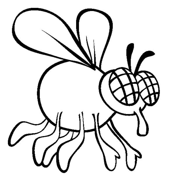 Coloring page: Fly (Animals) #11145 - Free Printable Coloring Pages