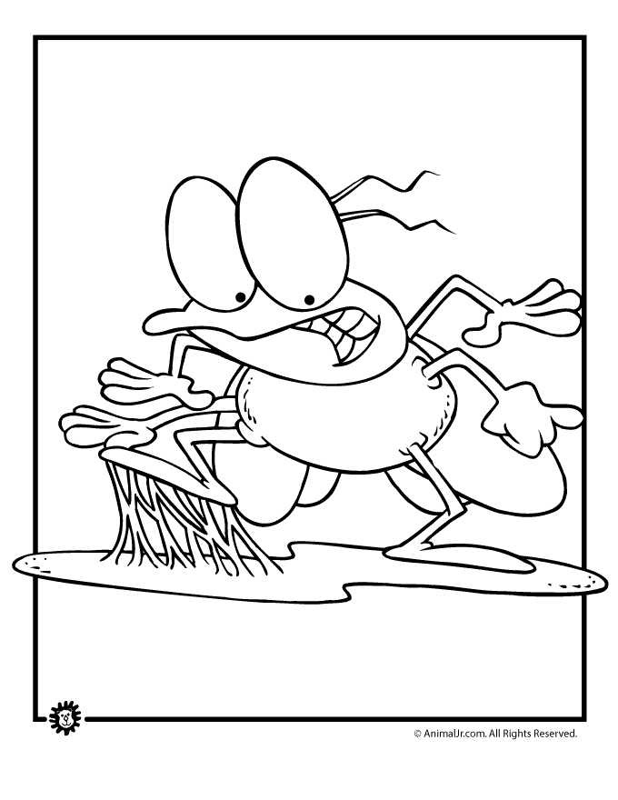 Coloring page: Fly (Animals) #11166 - Free Printable Coloring Pages