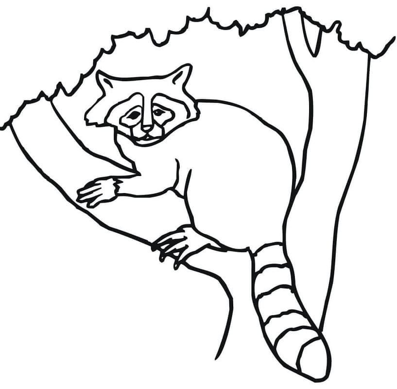 Free printable Forest Animals coloring page #192068 from Animals collection
