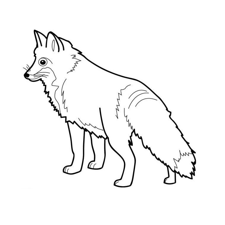 Coloring page: Fox (Animals) #14967 - Free Printable Coloring Pages