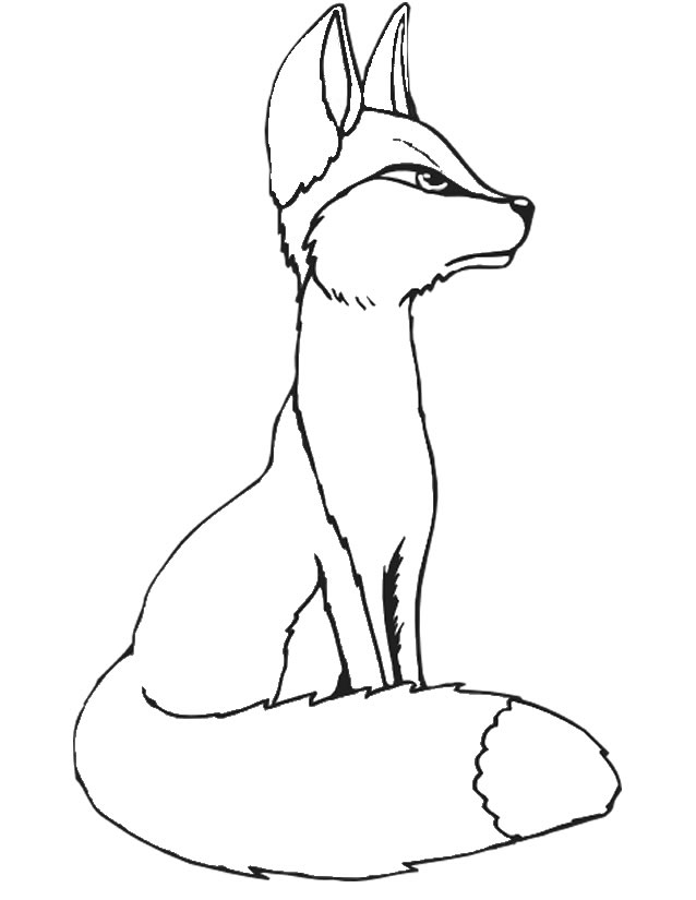Coloring page: Fox (Animals) #14997 - Free Printable Coloring Pages