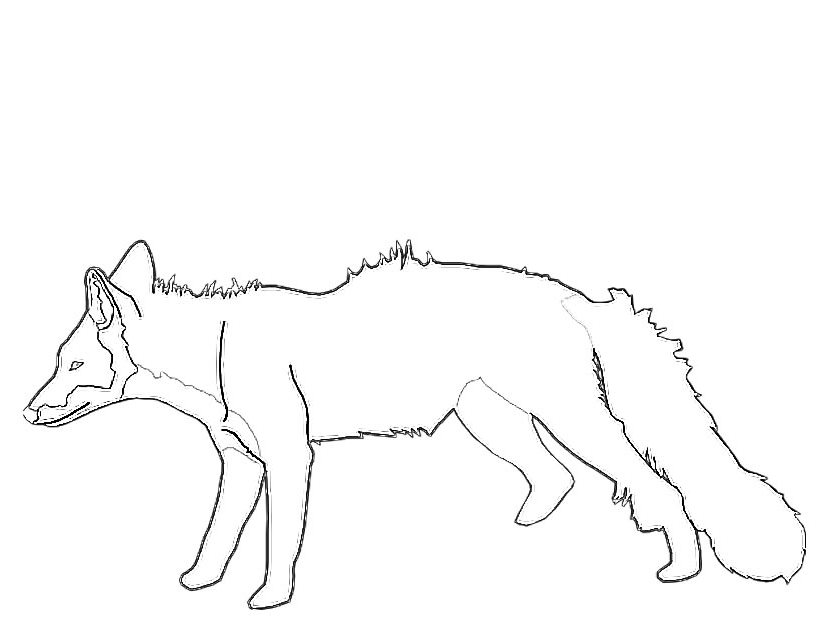 Coloring page: Fox (Animals) #15032 - Free Printable Coloring Pages