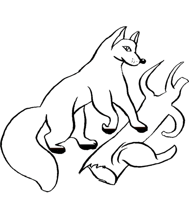 Coloring page: Fox (Animals) #15064 - Free Printable Coloring Pages