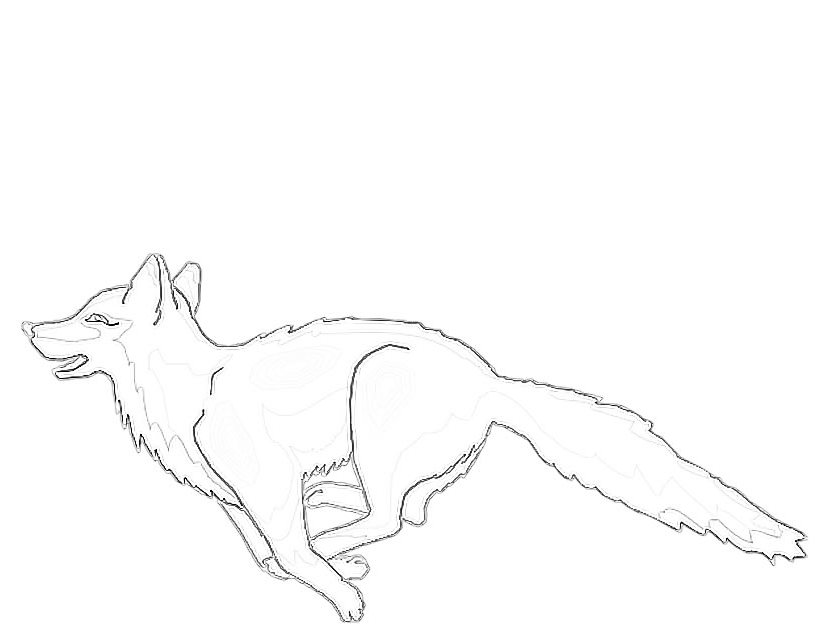 Coloring page: Fox (Animals) #15075 - Free Printable Coloring Pages