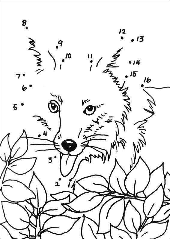 Coloring page: Fox (Animals) #15142 - Free Printable Coloring Pages