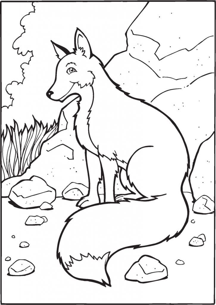 Free printable Fox coloring page #179468 from Animals collection