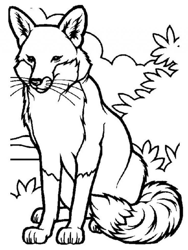 Free printable Fox coloring page #179472 from Animals collection