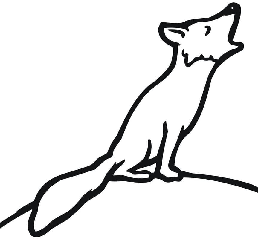 Free printable Fox coloring page #179485 from Animals collection