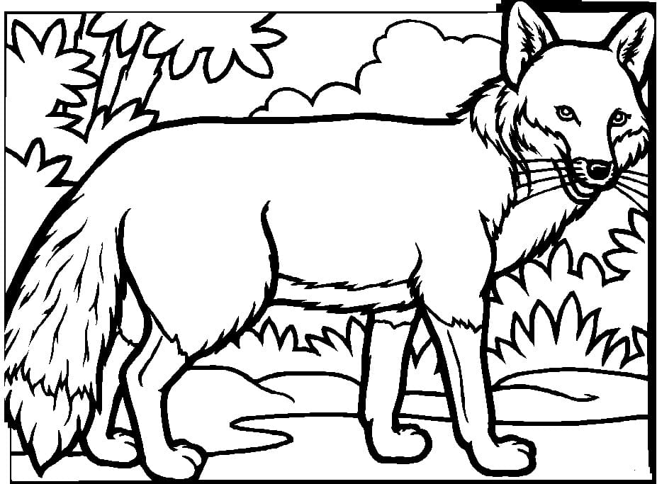 Free printable Fox coloring page #179488 from Animals collection