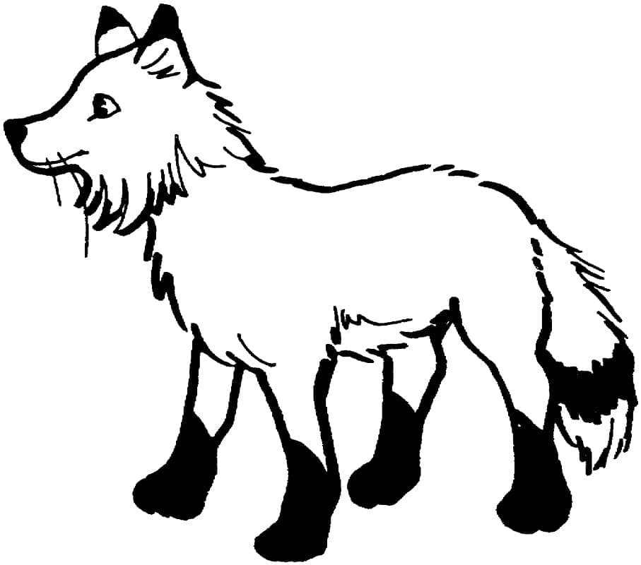 Free printable Fox coloring page #179489 from Animals collection