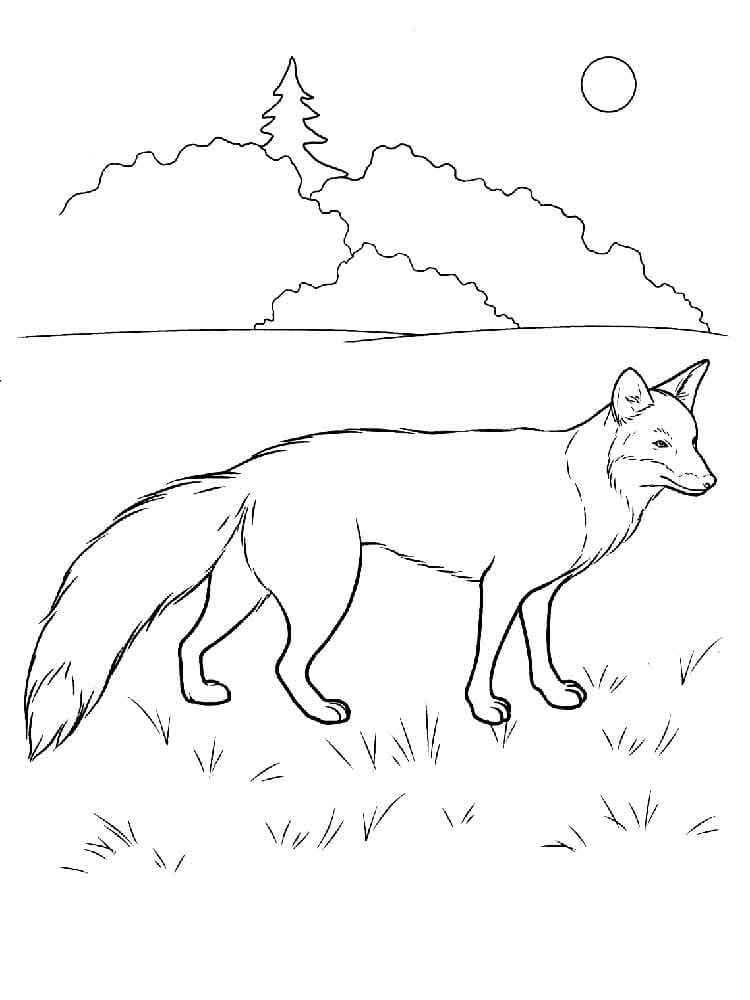 Free printable Fox coloring page #179490 from Animals collection
