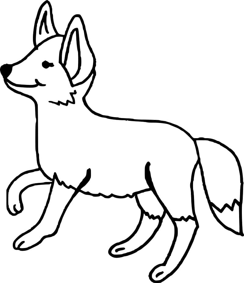 Free printable Fox coloring page #179493 from Animals collection