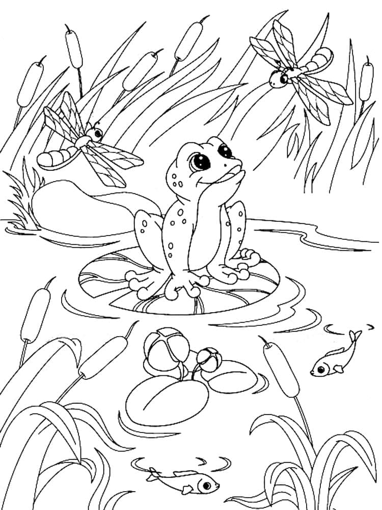 Free printable Frog coloring page #187324 from Animals collection