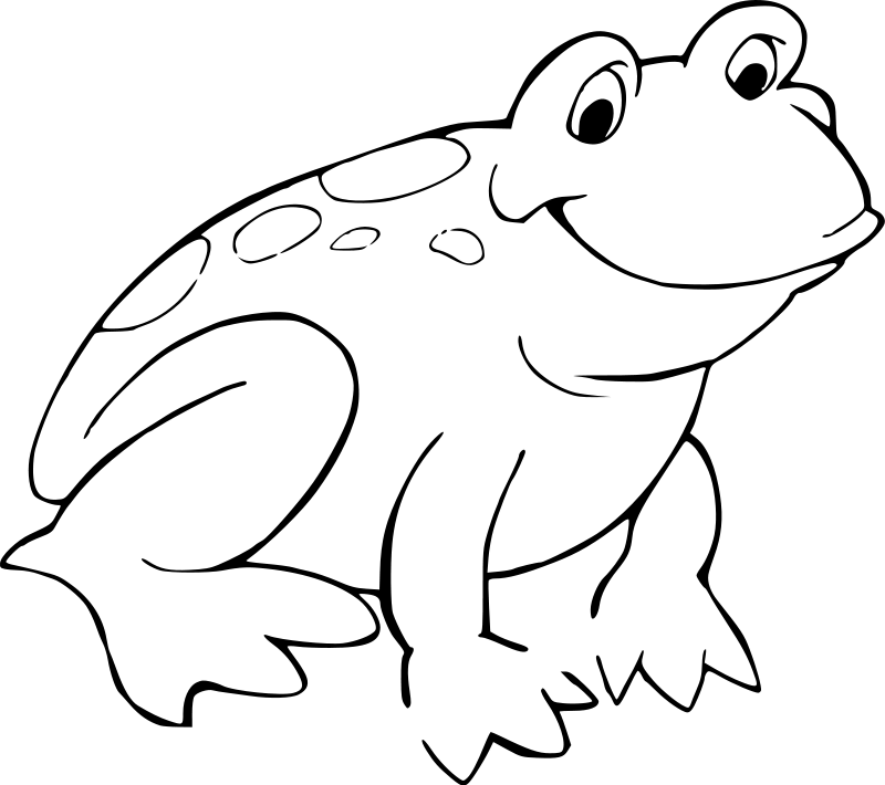 Drawing Frog 7571 Animals