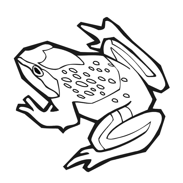 Coloring page: Frog (Animals) #7588 - Free Printable Coloring Pages