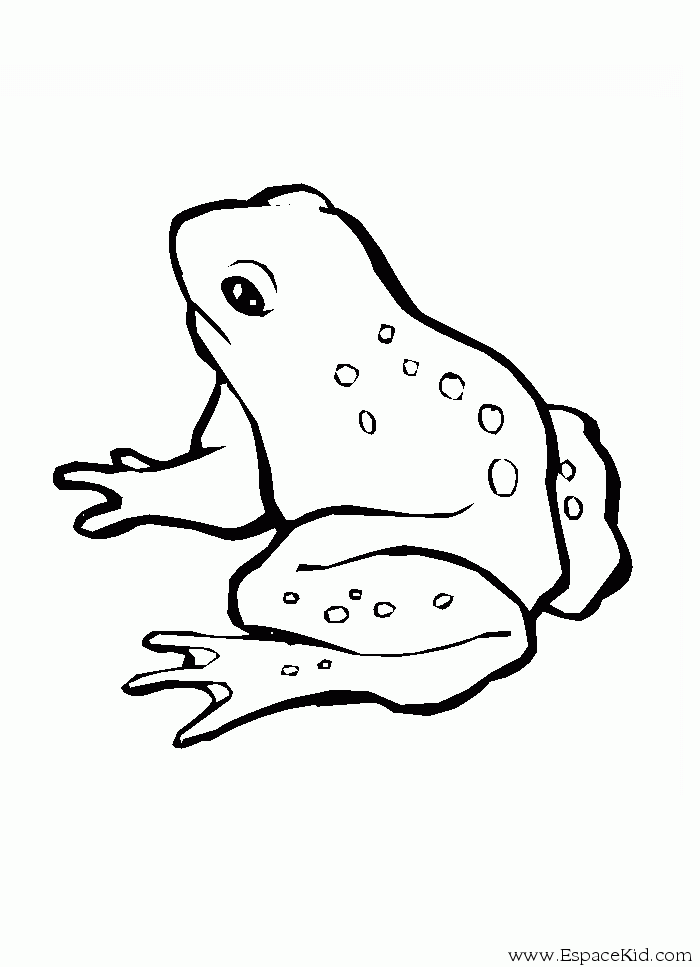 Coloring page: Frog (Animals) #7592 - Free Printable Coloring Pages