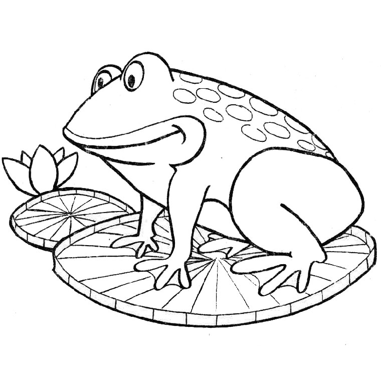 Coloring page: Frog (Animals) #7594 - Free Printable Coloring Pages