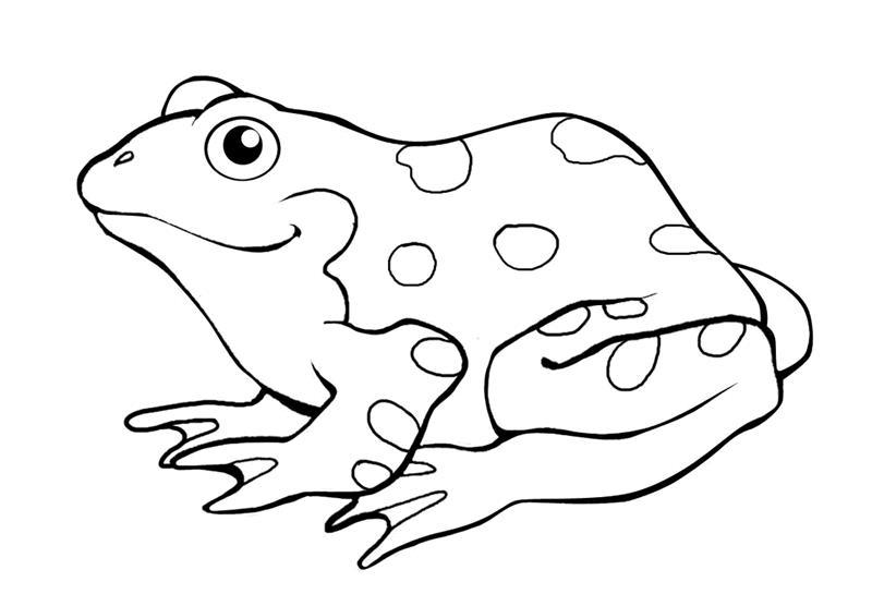 Coloring page: Frog (Animals) #7605 - Free Printable Coloring Pages
