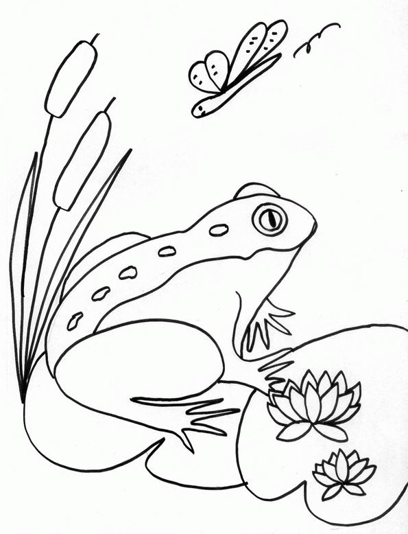 Coloring page: Frog (Animals) #7606 - Free Printable Coloring Pages