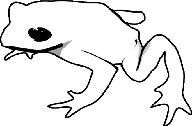 Coloring page: Frog (Animals) #7614 - Free Printable Coloring Pages