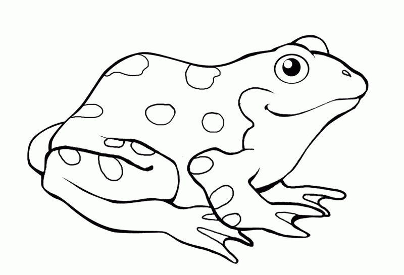 Coloring page: Frog (Animals) #7615 - Free Printable Coloring Pages