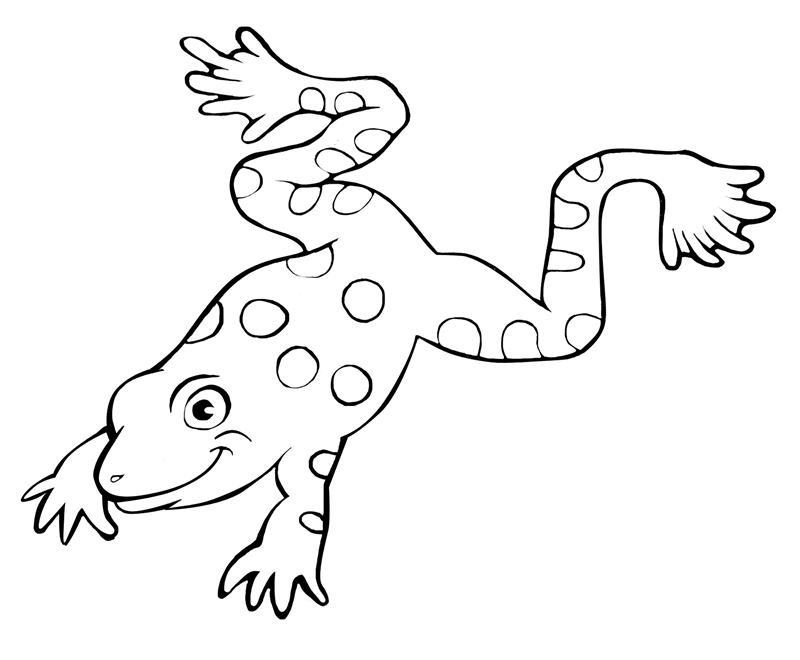 Coloring page: Frog (Animals) #7637 - Free Printable Coloring Pages