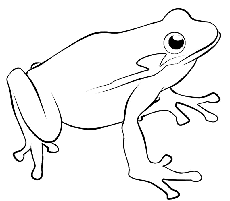 Coloring page: Frog (Animals) #7642 - Free Printable Coloring Pages