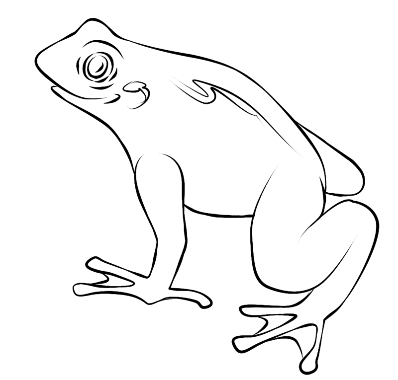 Coloring page: Frog (Animals) #7665 - Free Printable Coloring Pages