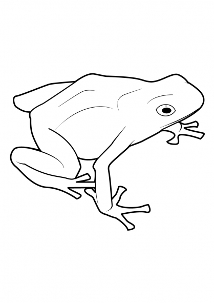 Coloring page: Frog (Animals) #7679 - Free Printable Coloring Pages