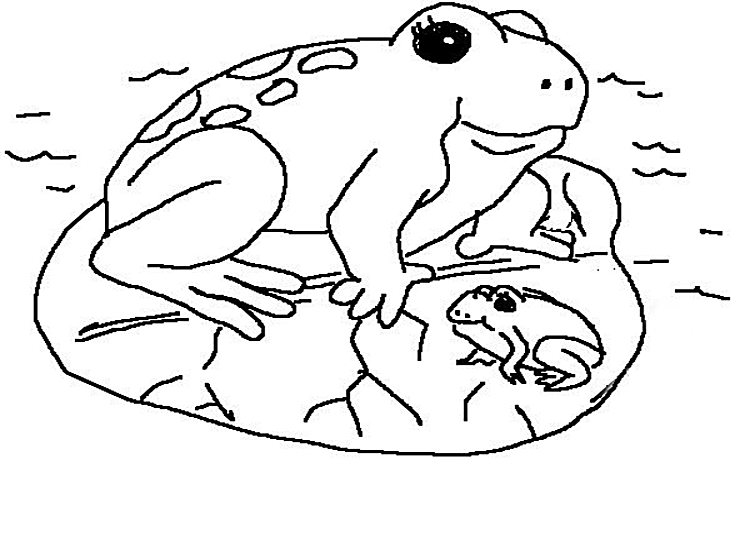 Coloring page: Frog (Animals) #7715 - Free Printable Coloring Pages