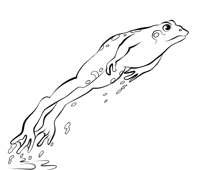 Coloring page: Frog (Animals) #7718 - Free Printable Coloring Pages