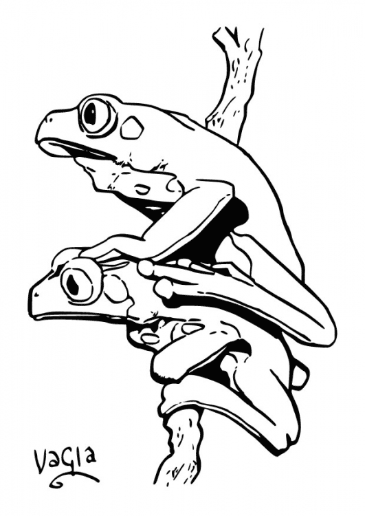 Coloring page: Frog (Animals) #7720 - Free Printable Coloring Pages