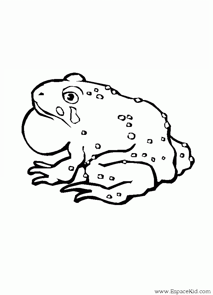 Coloring page: Frog (Animals) #7746 - Free Printable Coloring Pages