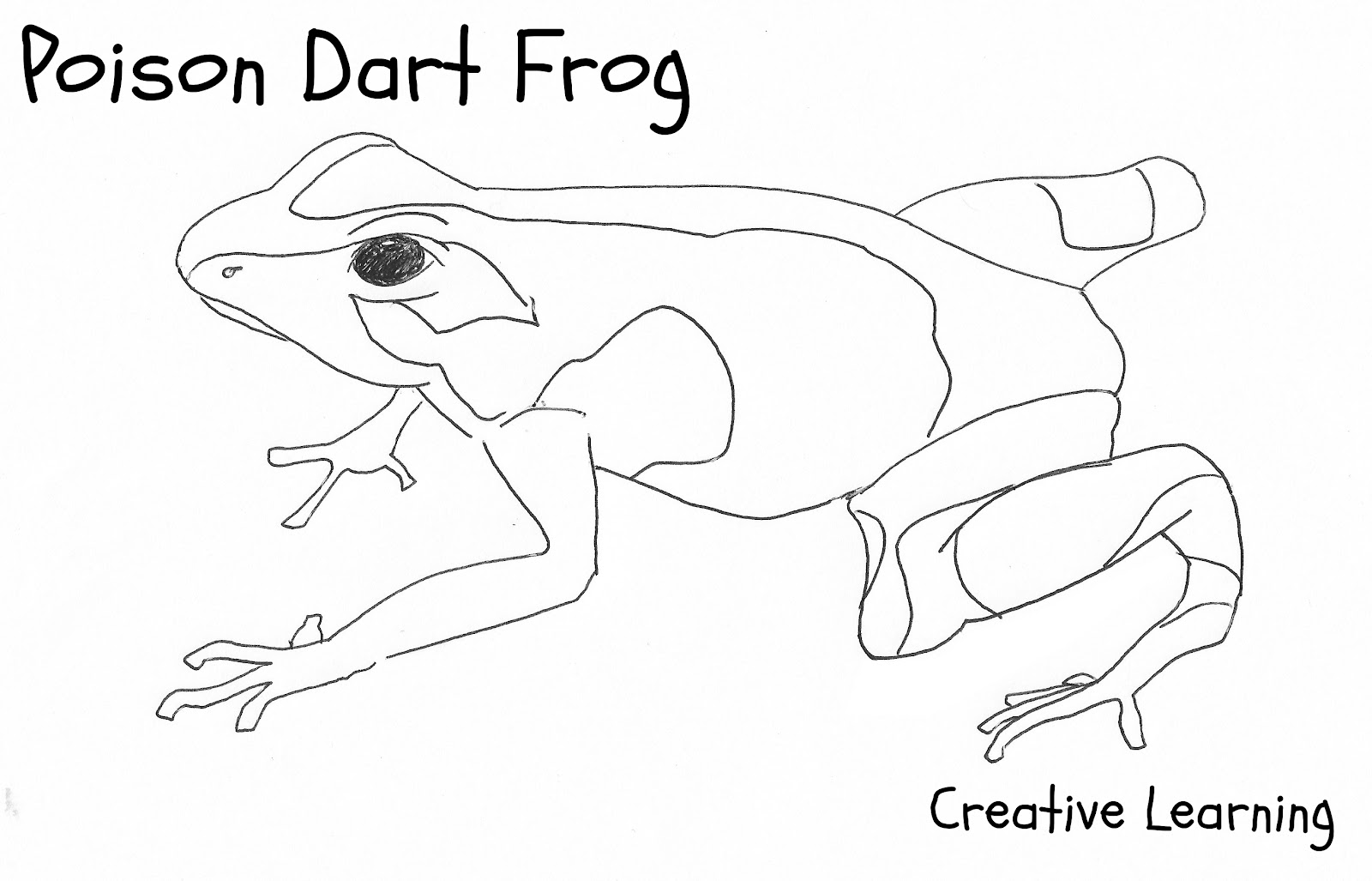 Coloring page: Frog (Animals) #7757 - Free Printable Coloring Pages