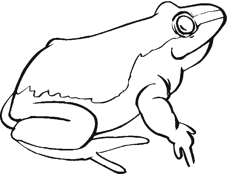 Coloring page: Frog (Animals) #7758 - Free Printable Coloring Pages