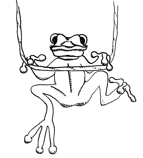 Coloring page: Frog (Animals) #7763 - Free Printable Coloring Pages