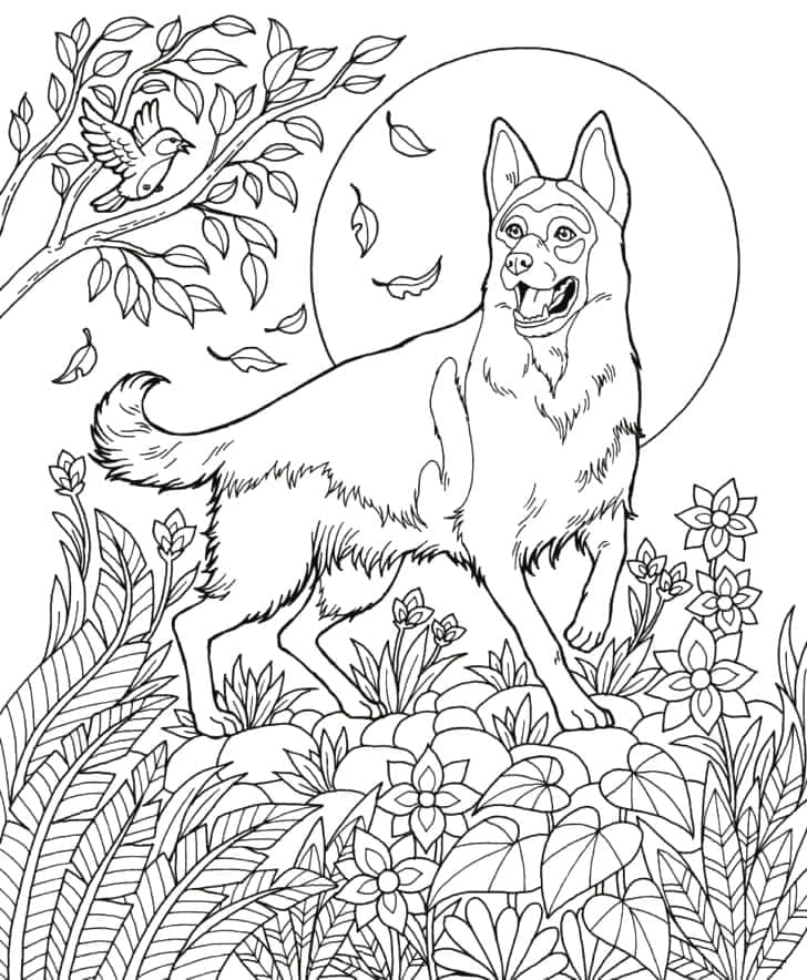 Free printable German Shepherd coloring page #214083 from Animals collection
