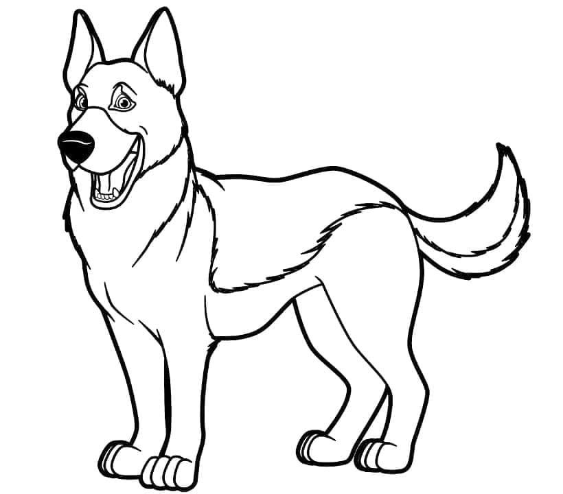 Free printable German Shepherd coloring page #214091 from Animals collection