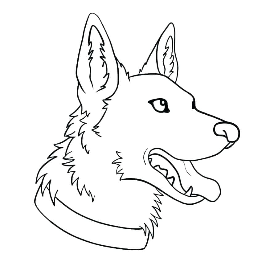 Free printable German Shepherd coloring page #214098 from Animals collection